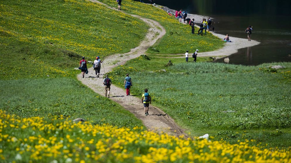 Fees and access rules. First Swiss mountain regions crack down on mass tourism