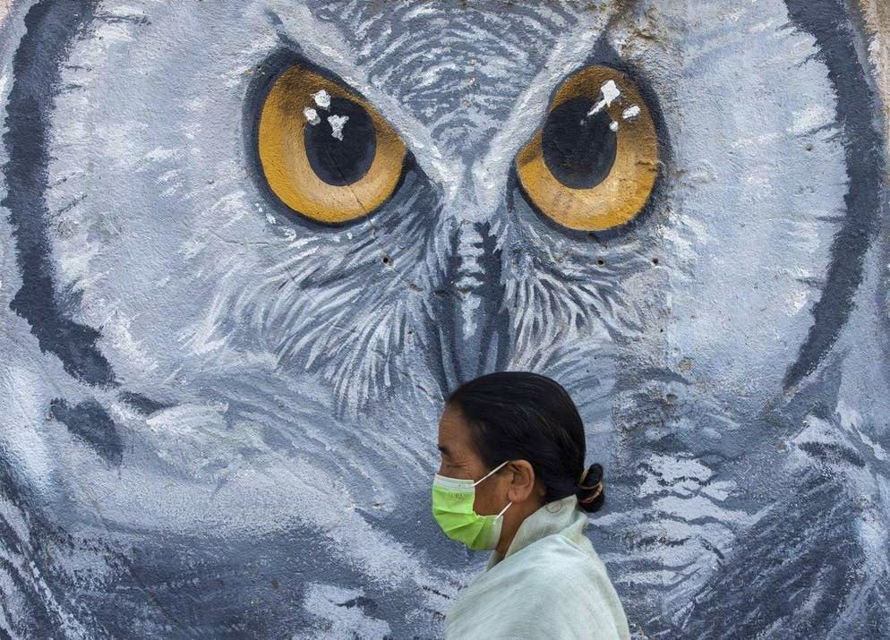 Coraggio da vendere!. Un occhio inquisitore... In Nepal, il governo ha deciso di applicare, a partire dal 29 aprile 2021, restrizioni nella valle di Kathmandu poiché il numero di casi di Covid-19 continua ad aumentare.