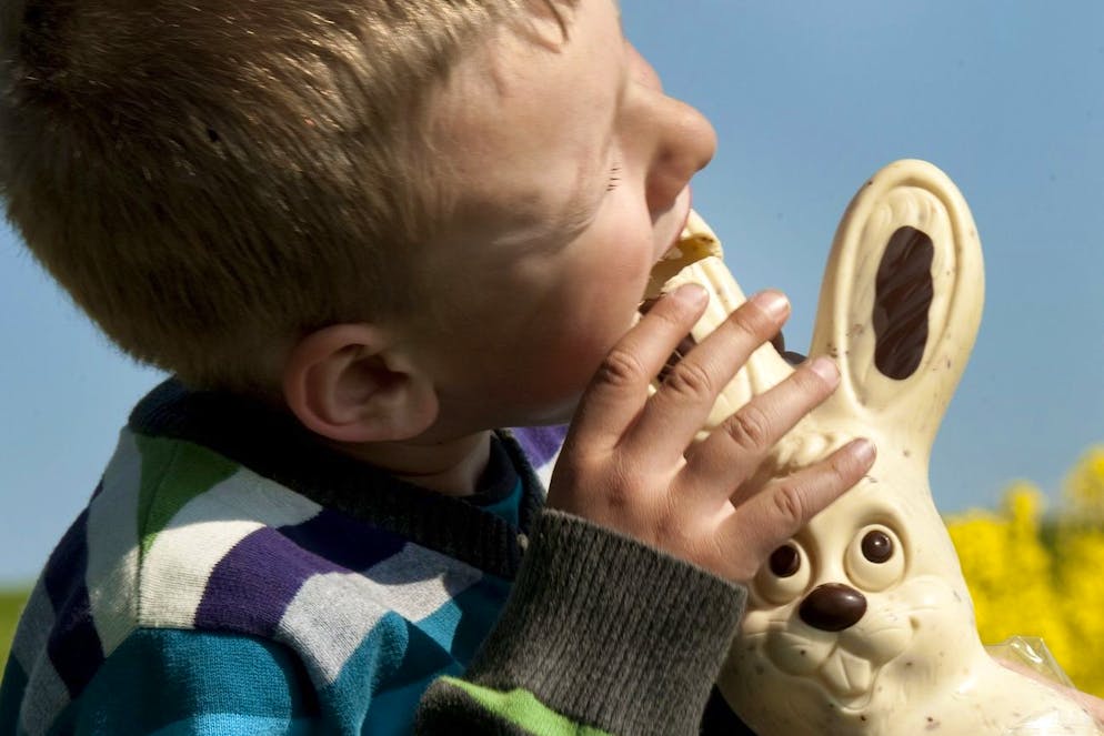 A child bites into the ear of a chocolate bunny after the hunt for Easter eggs in a field in Bournens, canton of Vaud, Switzerland. Pictured on April 19, 2011. (KEYSTONE/Dominic Favre)
Un enfant croque l'oreille d'un lapin en chocolat apres avoir cherche des oeufs de Paques dans un champs ce mardi 19 avril 2011 a Bournens, Vaud. (KEYSTONE/Dominic Favre)