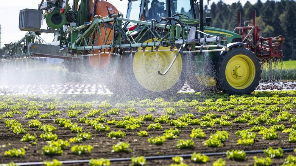 Abstimmungen vom 13. Juni. Der Kampf um Trinkwasser- und Pestizid-Initiative wird hart und heftig