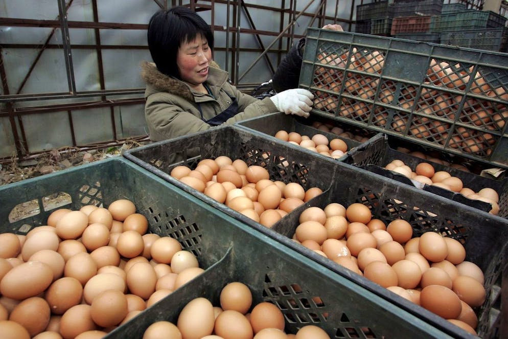 Workers stack crates of chicken eggs as they are delivered to small shops in Beijing, Wednesday, 11 January 2006. The World Health Organization (WHO) confirmed Wednesday two more deaths in China as a result of bird flu. Despite much speculation by the media regarding a potential pandemic outbreak, China still has only 8 known bird flu cases and there has been no human-to-human transmission. EPA/MICHAEL REYNOLDS