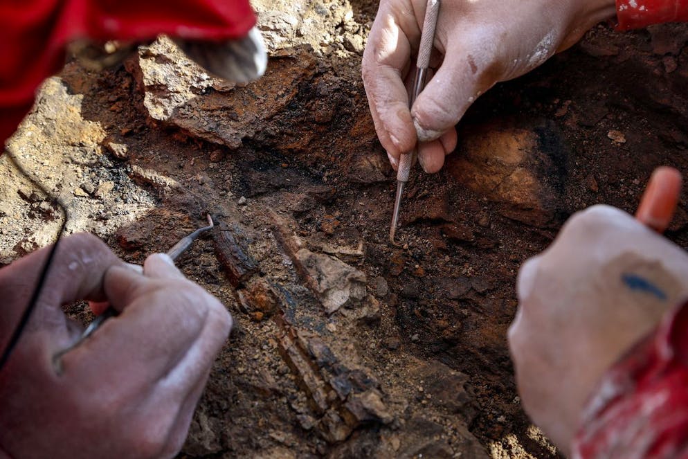 Deux paléontologues déterrent des os fossilisés sur un affleurement de la vallée de Las Chinas, en Patagonie chilienne.