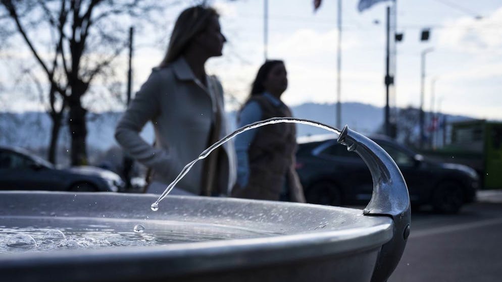 Kampf der Agrarinitiativen. Am 13. Juni stimmen wir über die Trinkwasser- und die Pestizidinitiative ab.