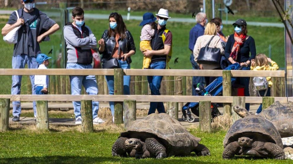 zoo