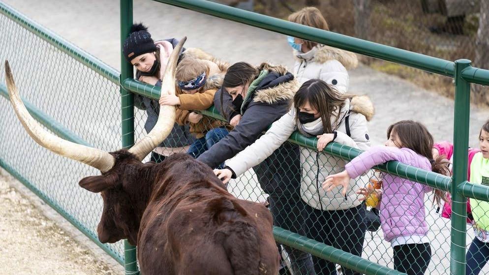 zoo 2