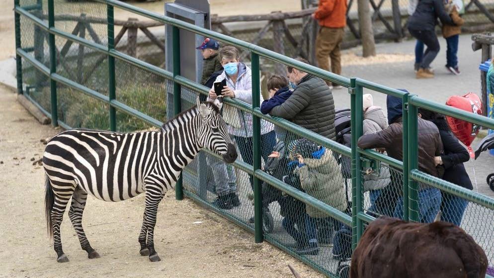 zoo 3
