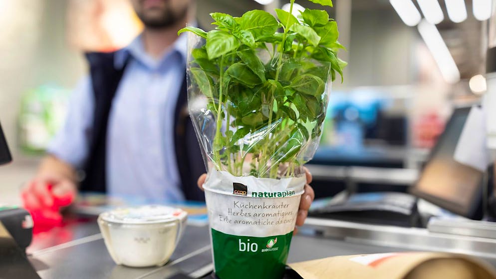 I prodotti bio di Coop sono i più cari.