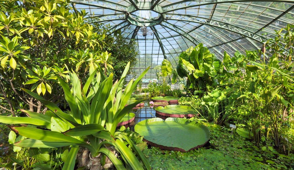 Botanischer Garten Basel, Viktoriahaus