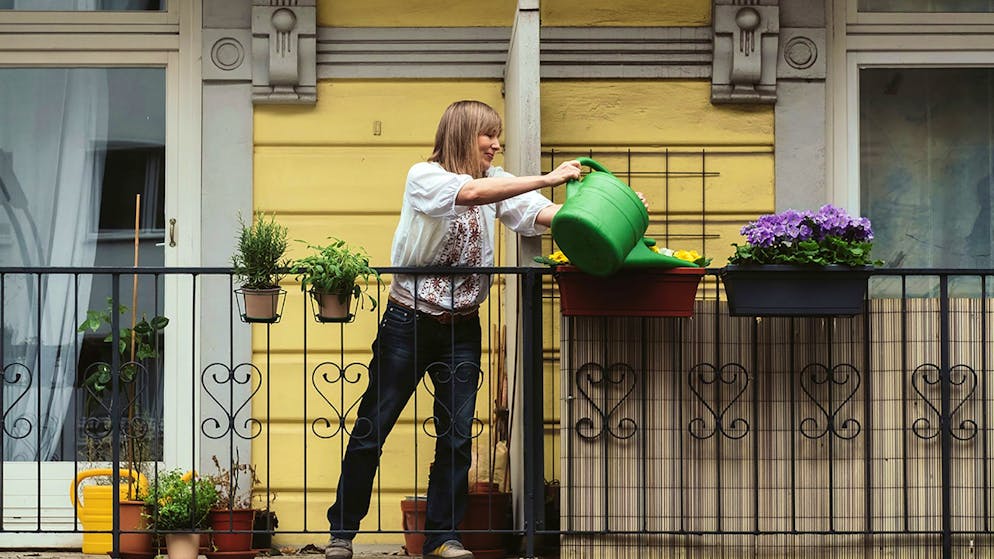 Kolumne. Gut, leben Menschen nebenan