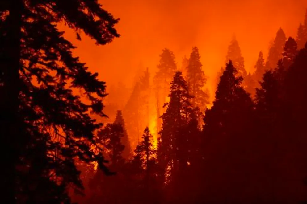 Un incendie a été déclenché vers 13 heures ce dimanche (archives).