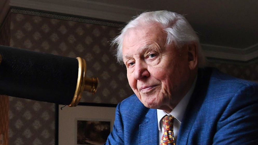 Unermüdlicher Dokumentarfilmer: Sir David Attenborough im Januar 2020.