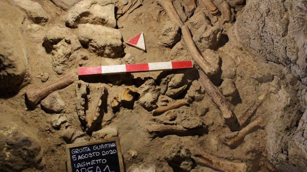 Blick in die Guattari-Höhle am Circeo-Berg zwischen Rom und Neapel in Italien, wo Wissenschaftler bei Untersuchungen Überreste von neun Neandertalern gefunden haben.