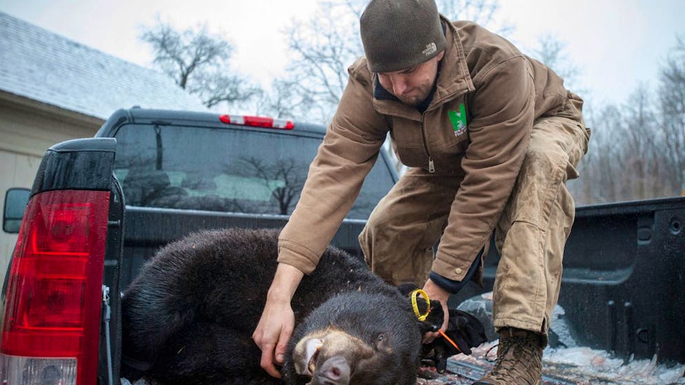 On est loin du collier de nouilles. Pour la fête des pères vaccinés: pick-up et fusils!