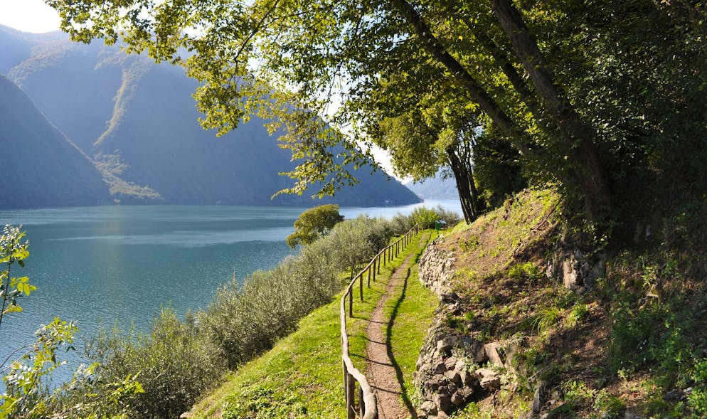 Auf schmalen Pfaden durch Olivenhaine und die mediterrane Naturwelt des Tessins.