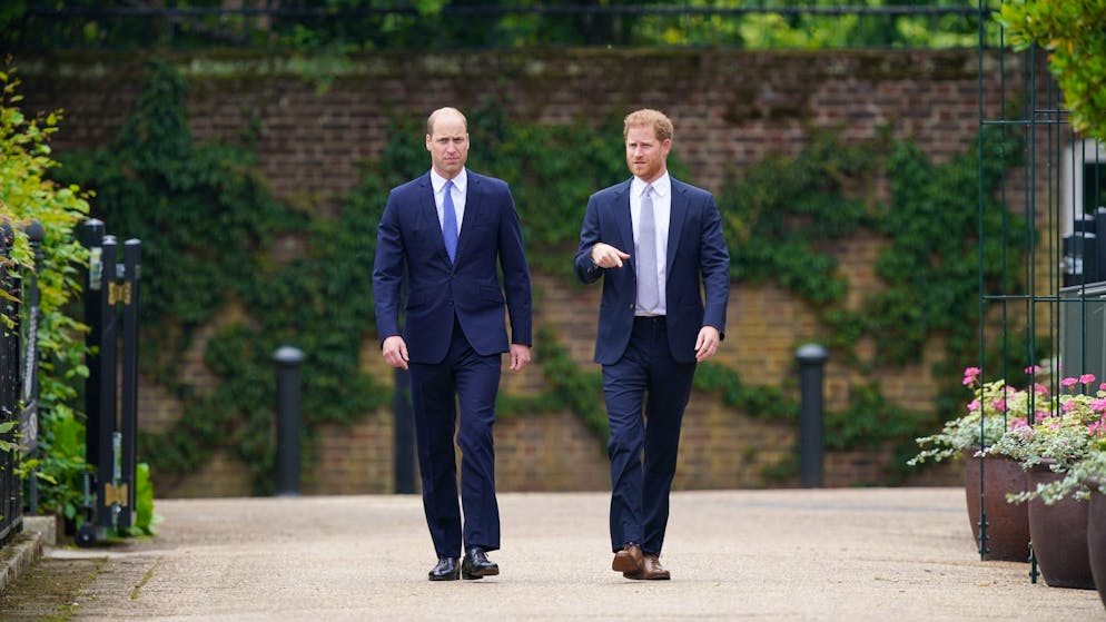 Die Karriere von Camilla: Von der meistgehassten Frau des Landes zur Queen. Im Laufe der Zeit wurde zudem bekannt, dass sich auch die Söhne Dianas, also William (links) und Harry, mit ihrer Stiefmutter arrangiert haben sollen.