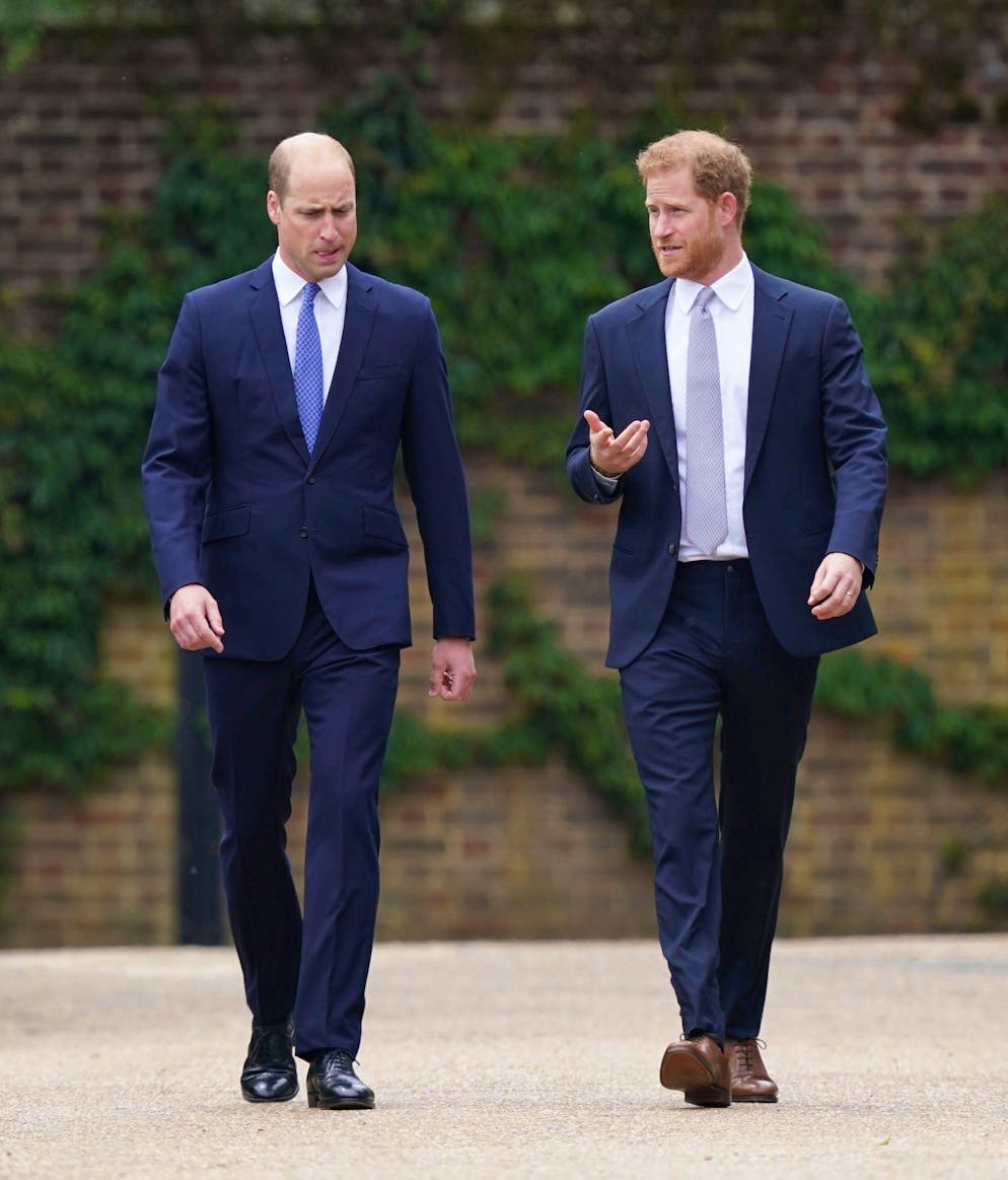 Diana wäre heute 60: Enthüllung des Diana-Denkmals. Arg verstritten sehen die beiden Brüder jedoch nicht aus. 