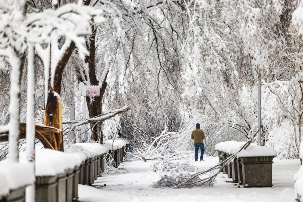 Des arbres abattus couvrent le trottoir à l'extérieur de l'Internal Revenue Service lors d'une tempête de neige à Washington, DC, USA, 03 janvier 2022.