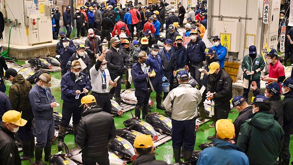 Partecipanti alla prima asta del tonno del 2022 al mercato Toyosu di Tokyo.