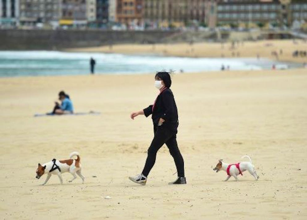 Une femme promène ses chiens sur une plage à Saint-Sébastien, en Espagne, le 9 mai 2021