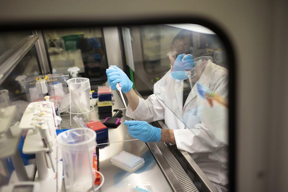 A lab worker sequences the coronavirus.