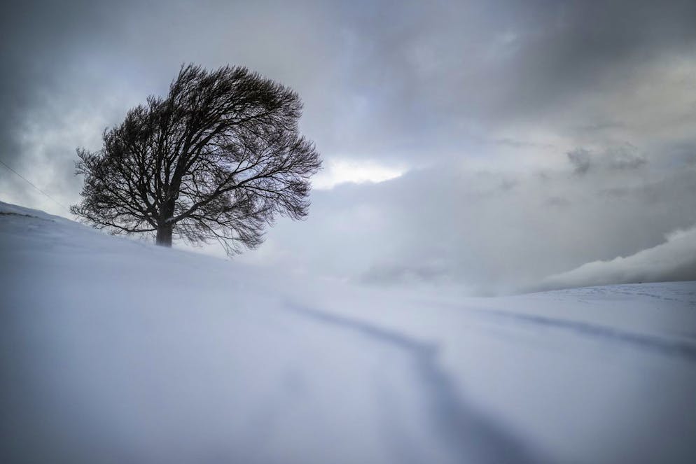 Paysage d'hiver avec des vents forts, pris le mercredi 5 janvier 2022, à St. Margrethenberg. (image d'illustration)