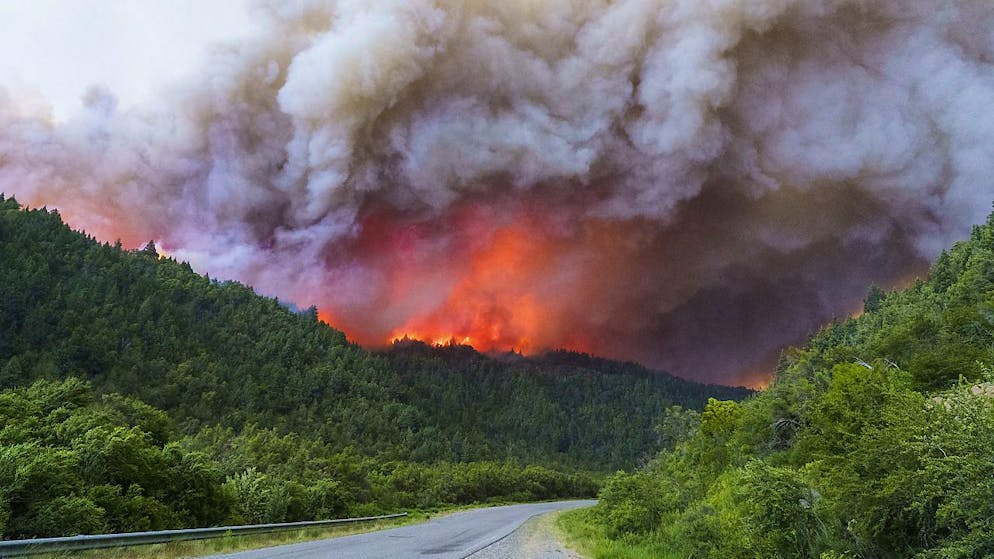 Le feu actif depuis le 6 décembre a détruit 5900 hectares de forêt andine indigène.