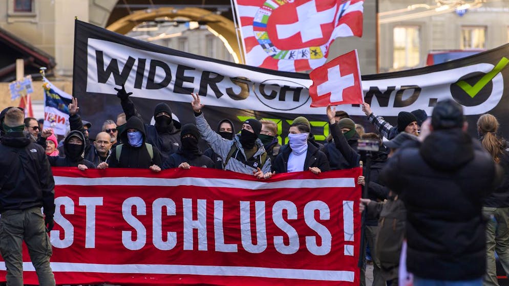 Staatsleugner und Querulanten. «Es handelt sich nicht nur um eine Handvoll Spinner»