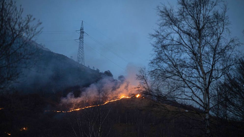 Flammen bedrohen Gambarogno. Gemeindepräsident: «Die Lage ist sehr besorgniserregend»