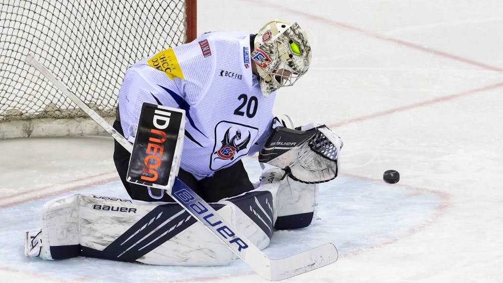 Die Hockeystars im Januar. Nati-Spieler in Topform, ein tschechisches Genie und der nächste Fribourg-Goalgetter