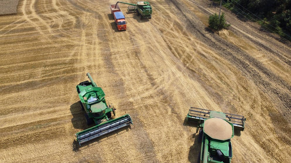 Weizenernte in Gefahr. Der Krieg treibt die Brotpreise. Und die Ärmsten auf die Strasse?