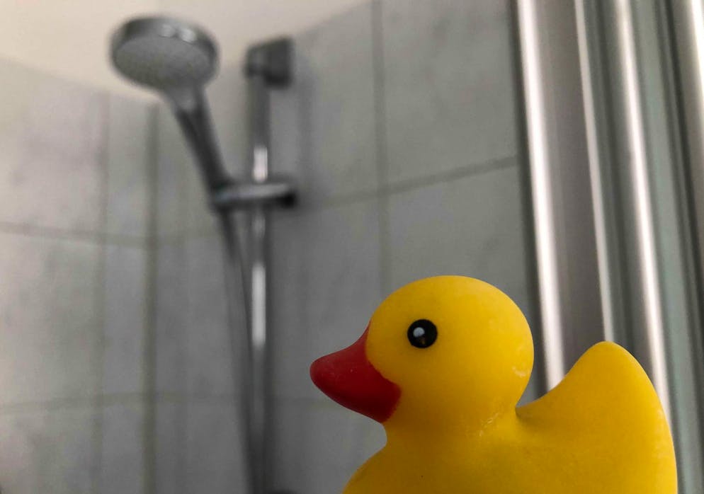 Unter der Dusche landet oft ein teures Versprechen auf dem Kopf. Dabei unterscheiden sich viele Shampoos weniger stark, als ihre Preise vermuten lassen. (Symbolbild)