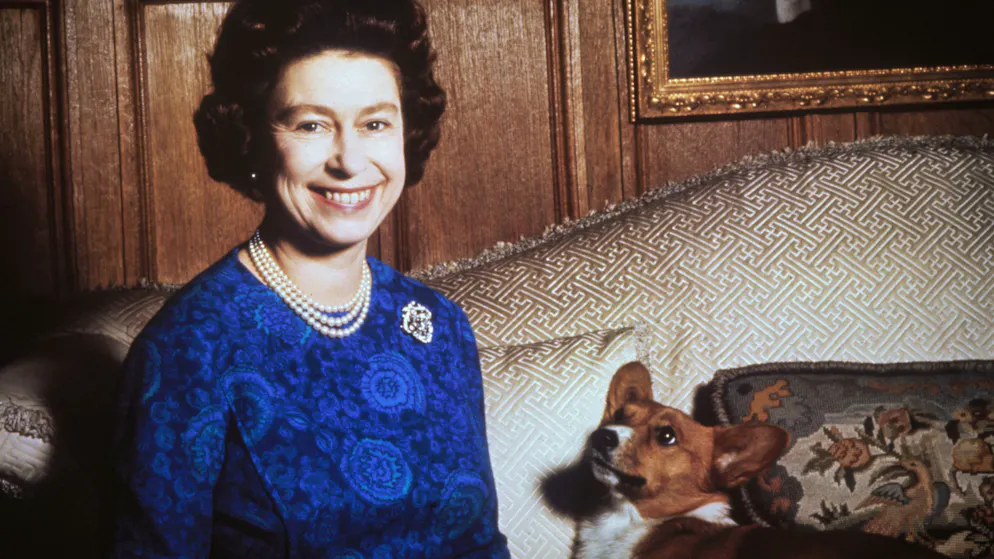 Königin Elizabeth II. ist tot — Ihr bewegtes Leben in Bildern. Tiere spielen im Leben der Monarchin eine wichtige Rolle. Über 30 Hunde der britischen Rasse Welsh Corgi Pembrokes haben schon bei ihr gelebt. Dieses Foto wurde 1970 aufgenommen. 