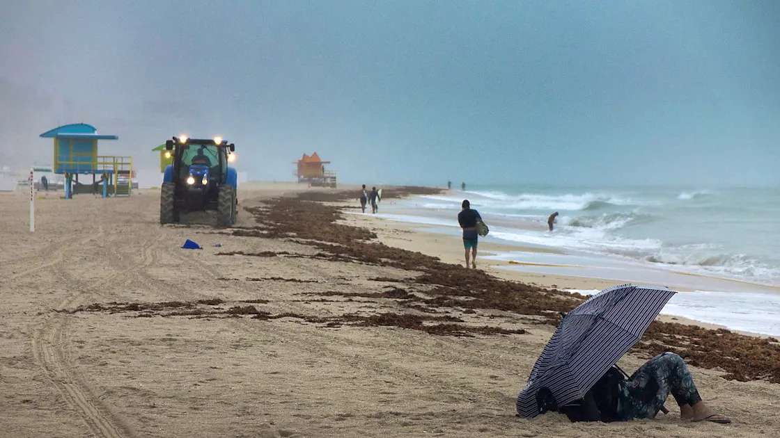 meteo a new york stati uniti
