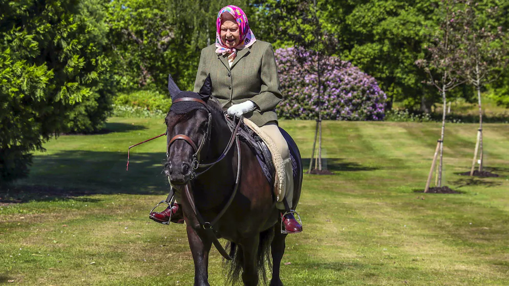 Königin Elizabeth II. ist tot — Ihr bewegtes Leben in Bildern. Zu ihren Lieblingen gehört das 14-jährige Fell-Pony Balmoral Fern. Die Queen mag auch Rennpferd Aureole, das sie noch von ihrem Vater George VI. erbte und Sanction, ein weiteres Reitpferd, zu dem sie eine beinahe telepathische Verbindung gehabt haben soll. Ihr Interesse gilt auch der Zucht von Renntieren und dem Reitsport im Generellen.