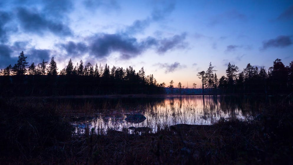 Finnland: Eine Abenddämmerung in Finnland nahe der russischen Grenze.