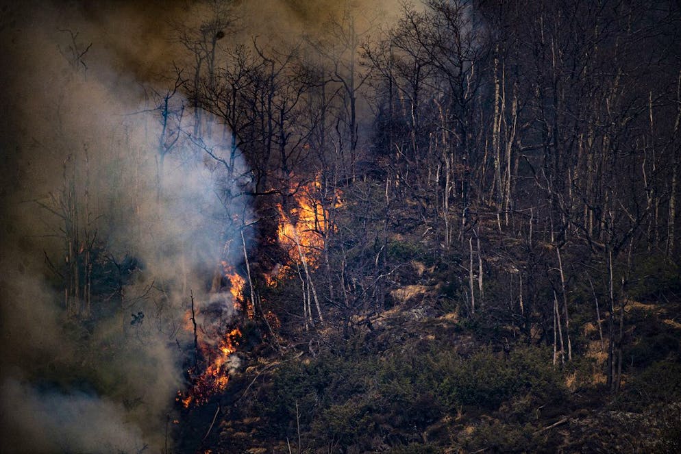 Flammen des Waldbrandes oberhalb von Verdasio im Centovalli Tal, am Freitag, 25. Maerz 2022. Ausgebrochen war der Waldbrand am Mittwoch, teilte die Tessiner Kantonspolizei mit. (KEYSTONE/Ti-PRESS/Samuel Golay)