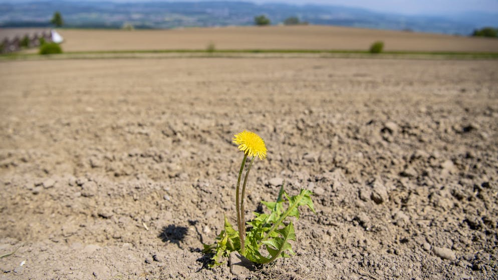 Folgen der Erwärmung. «Die Schweiz ist längst mittendrin in der Klimakrise»