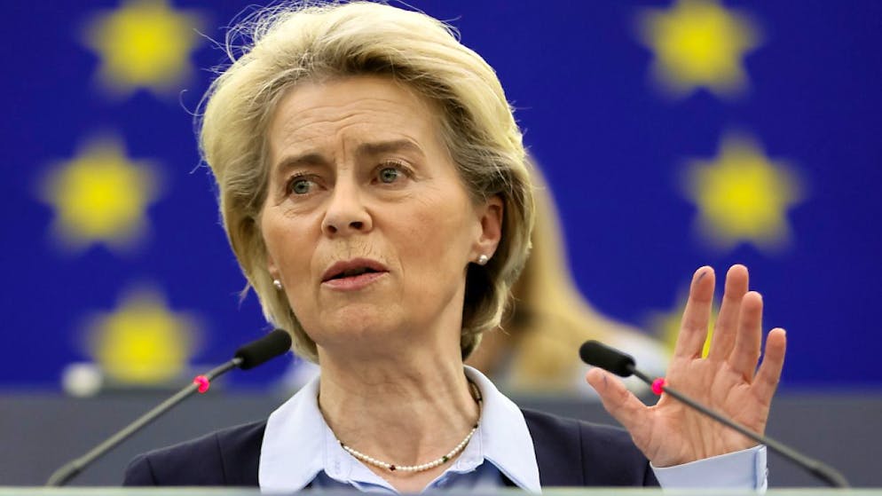 Guerra in Ucraina. Venerdì l'incontro a Kiev tra Zelensky e von der Leyen