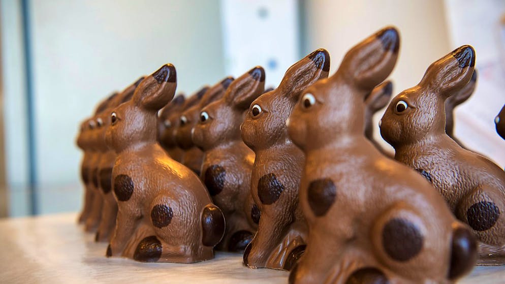 Eine Gruppe Schoko-Osterhasen wartet darauf, verpackt zu werden. Obwohl der Salmonellen-Skandal beim italienischen Schokoladenhersteller Ferrero kürzlich für einen medialen Aufschrei sorgte, kaufen die Menschen munter weiter Schoggi. (Archivbild)