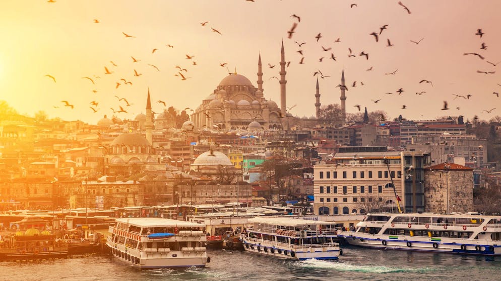 A flock of birds against the background of the Suleymaniye Mosque