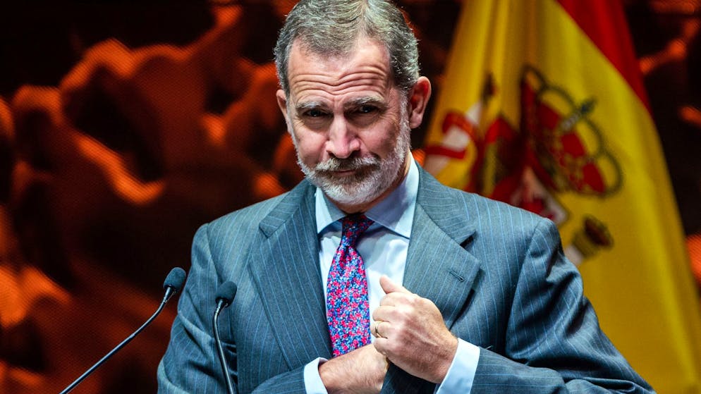 2.573.392,80 Euro – das Privatvermögen von König Felipe VI..