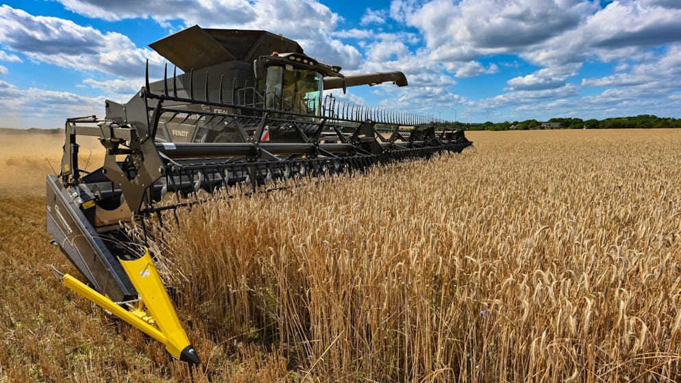Auf einem Feld wird mit einem Mähdrescher Roggen gedroschen. Weil Russland Seewege der Ukraine blockiert, können wichtige Getreidelieferungen nicht das Land verlassen.