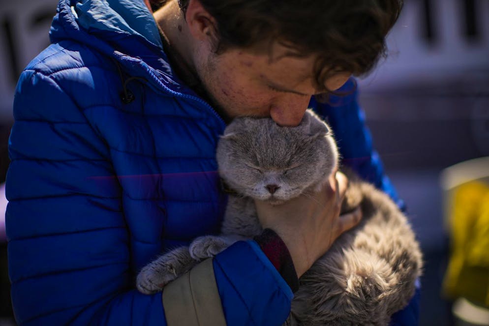 Ivan Andreiev who fled from Mariupol with his family kisses his cat Leonardo upon his arrival to a reception center for displaced people in Zaporizhzhia, Ukraine, Sunday, May 8, 2022. Thousands of Ukrainian continue to leave Russian occupied areas. (AP Photo/Francisco Seco)