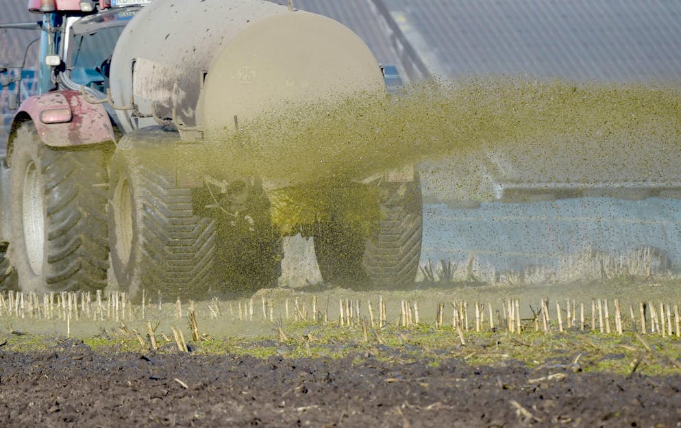 Die beiden Männer stürzten in einen Schacht voller Gülle und starben. (Symbolbild)