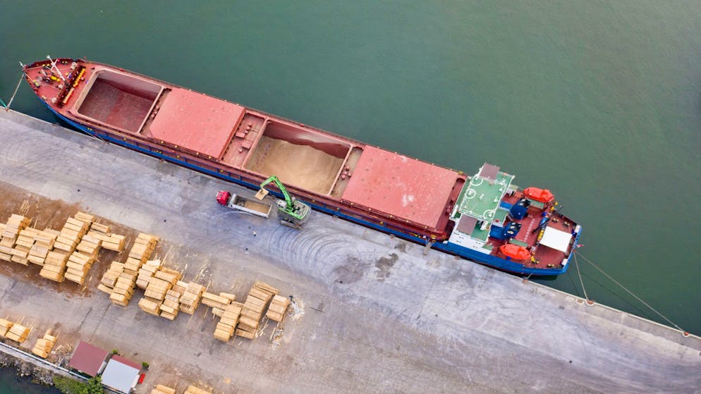 Ein russisches Schiff mit mutmasslich in der Ukraine gestohlenem Getreide ist nach Recherchen der Nachrichtenagentur AP vom Mittwoch in Syrien eingetroffen. Von der AP analysierte Satellitenbilder des Unternehmens Planet Labs PBC vom Dienstag zeigten demnach die unter russischer Flagge fahrende «Matros Pozynich» im Hafen der Stadt Latakia an der Mittelmeerküste. (Symbolbild)