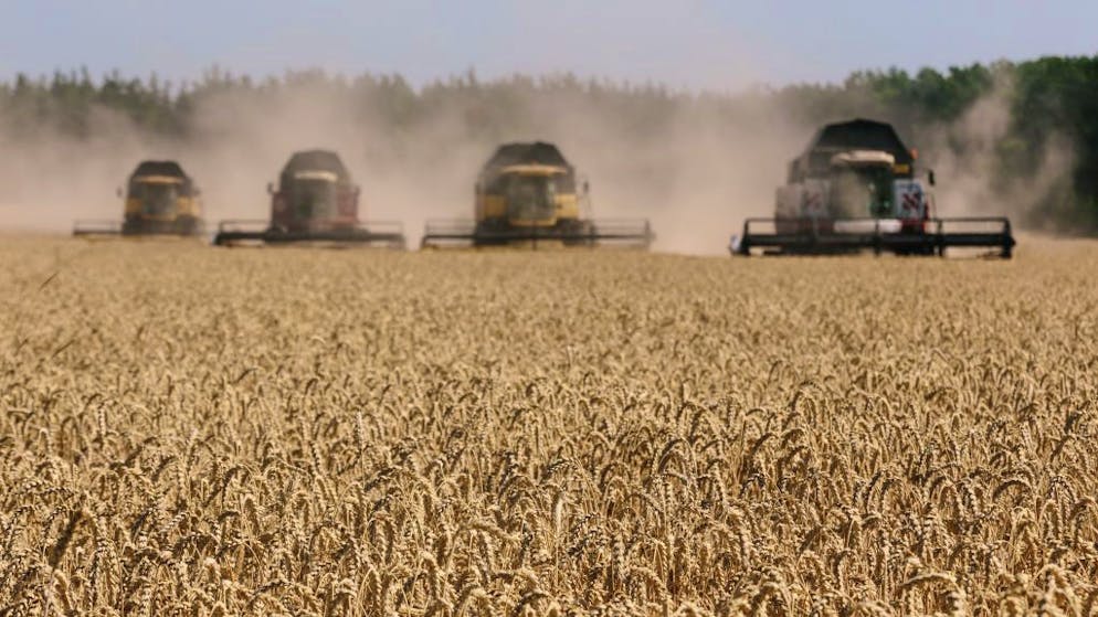 Harvesters in the field. Harvesting combines in the fields of Novovodolazhsky district of Kharkiv region, Ukraine on July 25, 2017. (Photo by Pavlo Pakhomenko/NurPhoto via Getty Images)