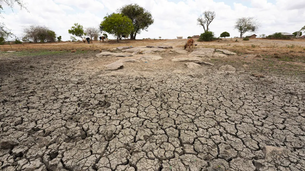 Devastating consequences of global warming. Climate summit agrees on trillions for poorer countries