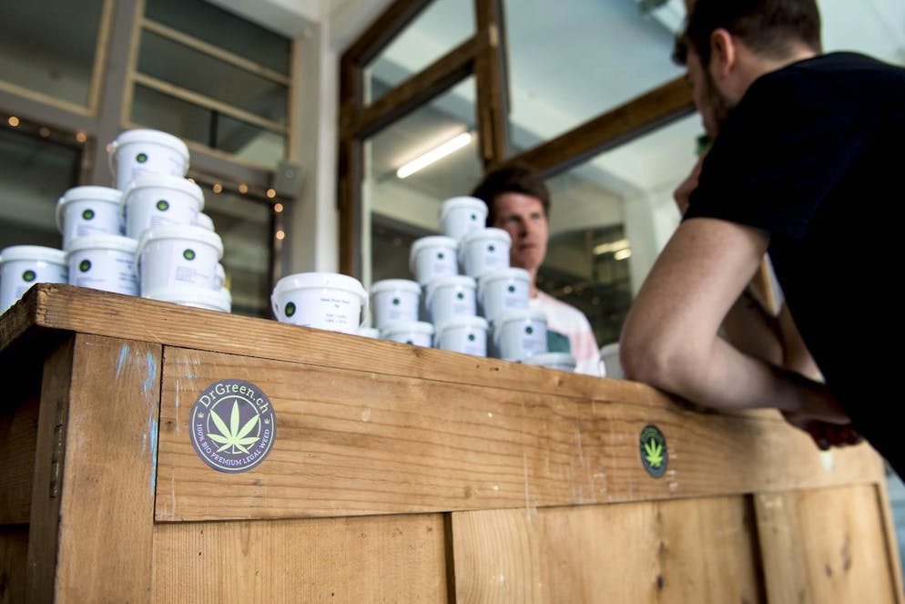 Une personne achete une plante de cannabis CBD (Cannabidiol) avec moins de 1% de THC, a un vendeur du magasion