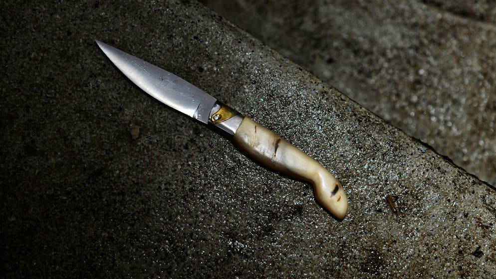 Soletta. Chiesta la prigione a vita per una madre ticinese che uccise le figlie