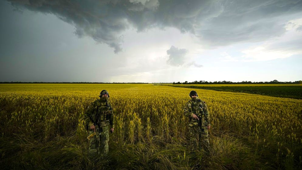Russische Soldaten bewachen ein Weizenfeld in der von Russland besetzten Region Saporischschjaan im Süden der Ukraine. (14. Juni 2022)